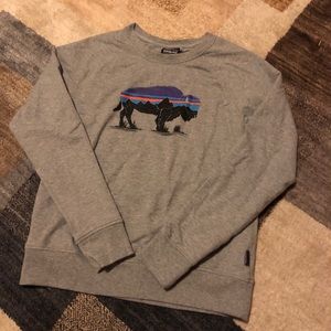 Patagonia pullover size small